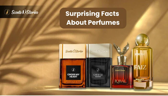 A collection of premium fragrances from Scents N Stories featured in a guide about Surprising Facts About Perfumes, showcasing unique bottle designs against a warm, sunlit background.