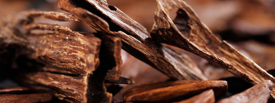 The World of Oud: An Immersive Guide to Wood‑Based Perfumes