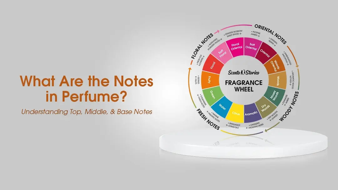 What Are the Notes in Perfume - 3 Distinctive Types – Scents N Stories