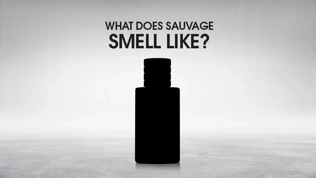 what does sauvage smell like