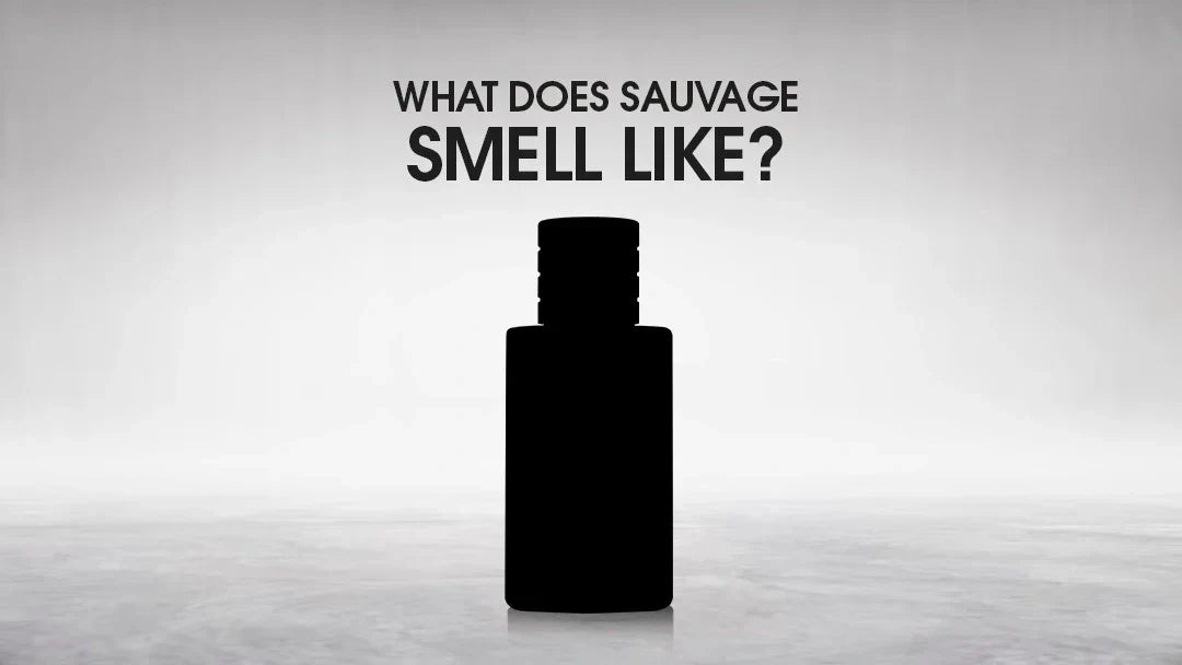 what does sauvage smell like