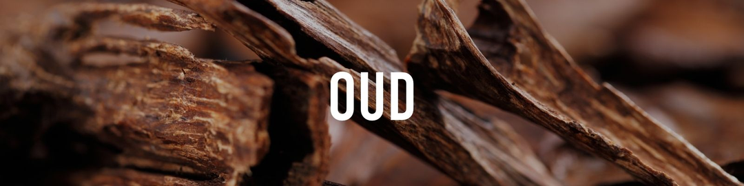 oud perfumes