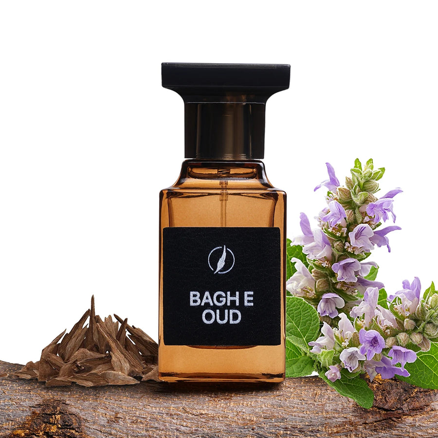Bagh e Oud By Scents N Stories
