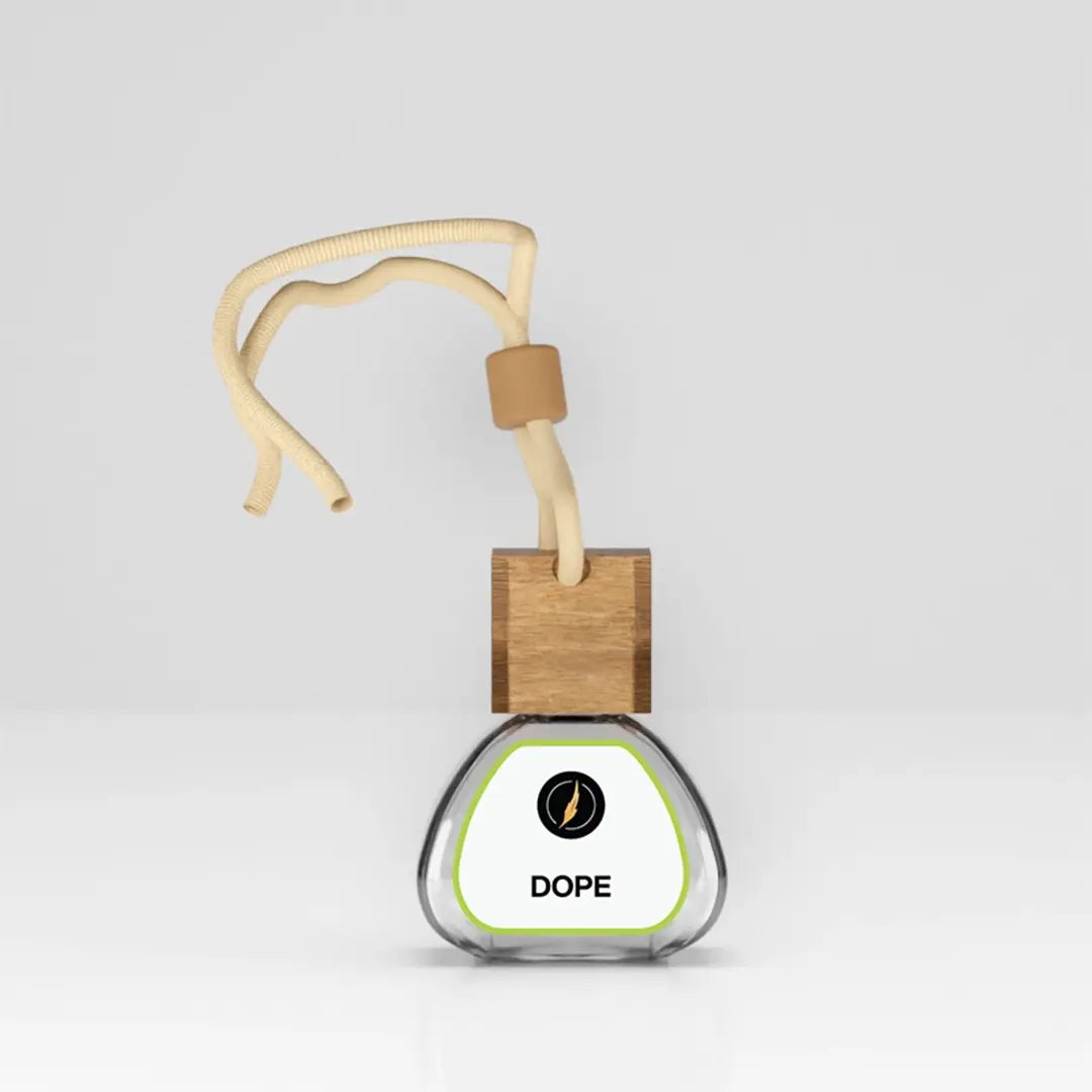 Car Body Diffusers Car Diffusers For Everyone | Scents N Stories | Car Scent Diffusers