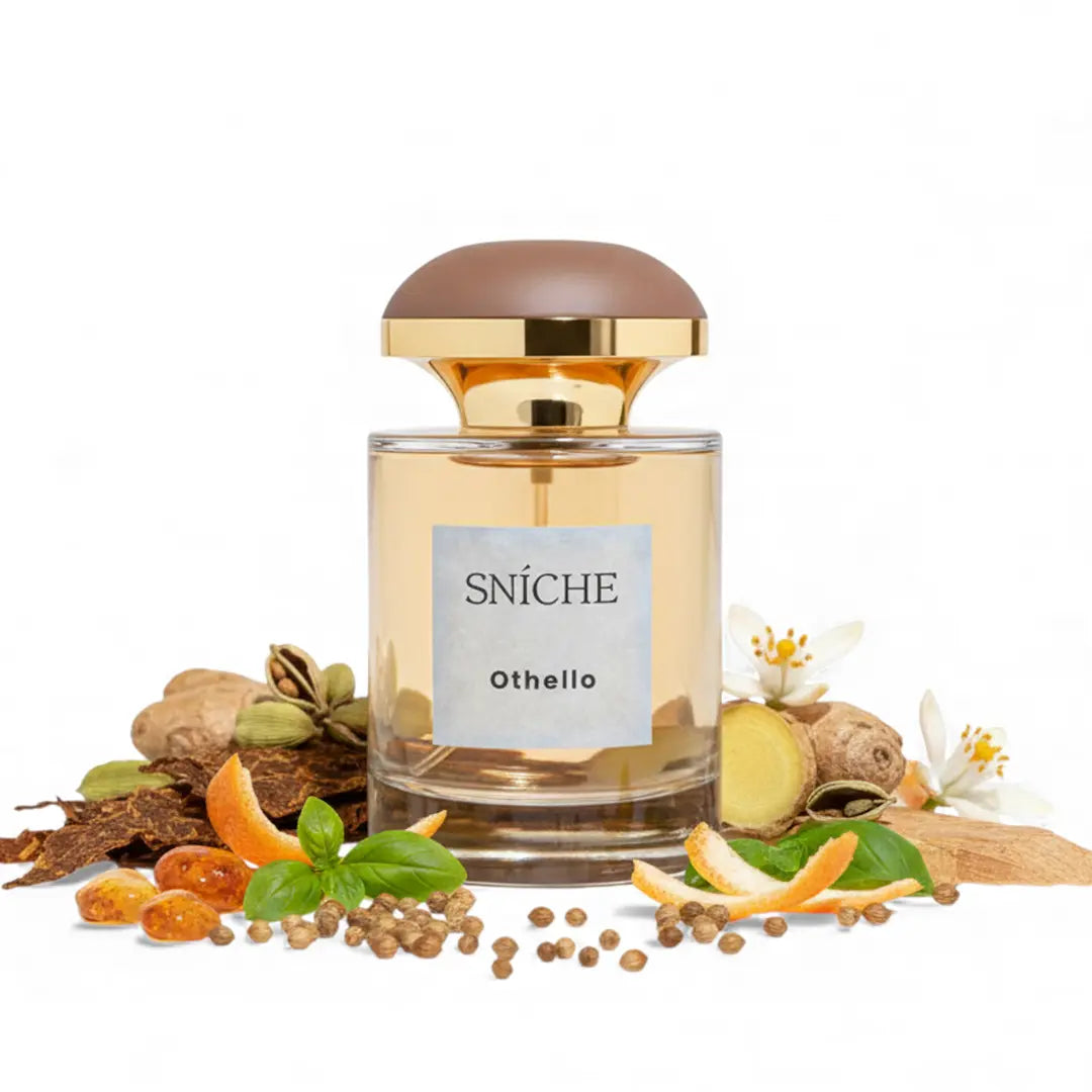 othello d&g the one perfume