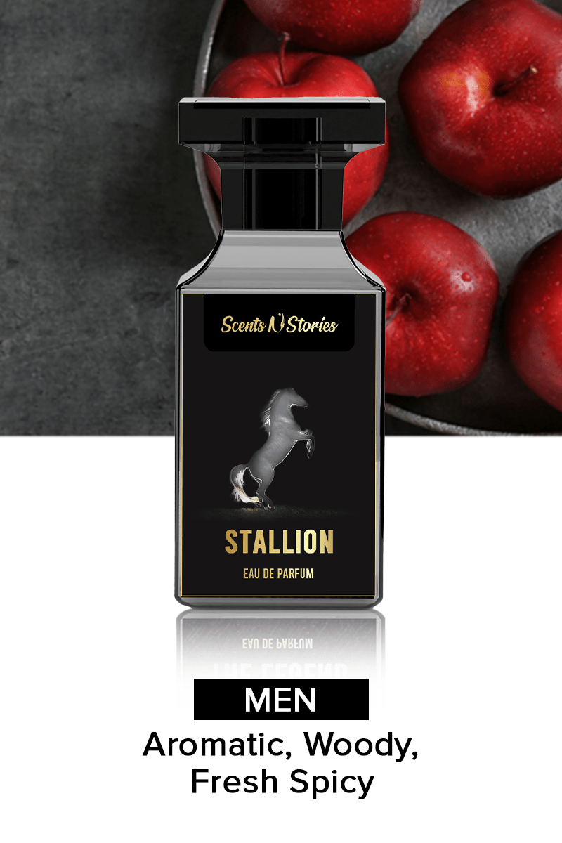 stallion y by ysl perfume