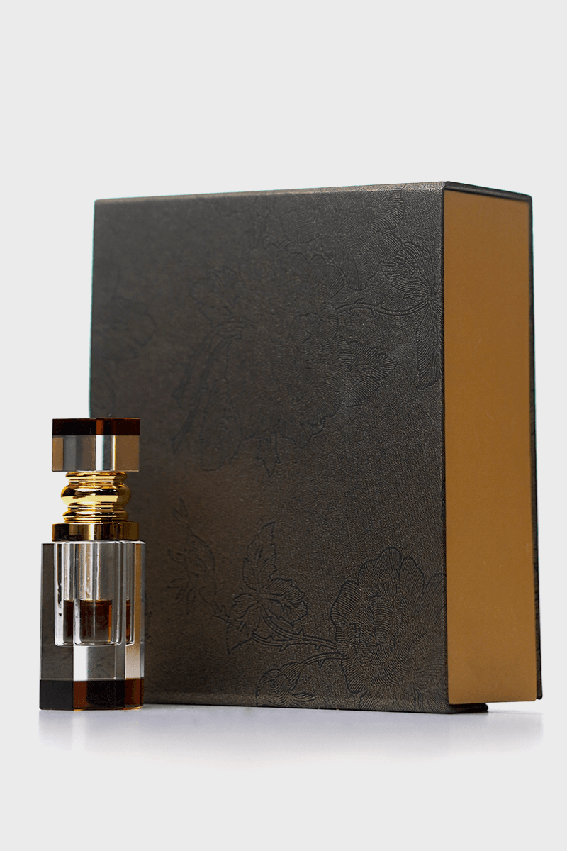 SNS Oud Versi