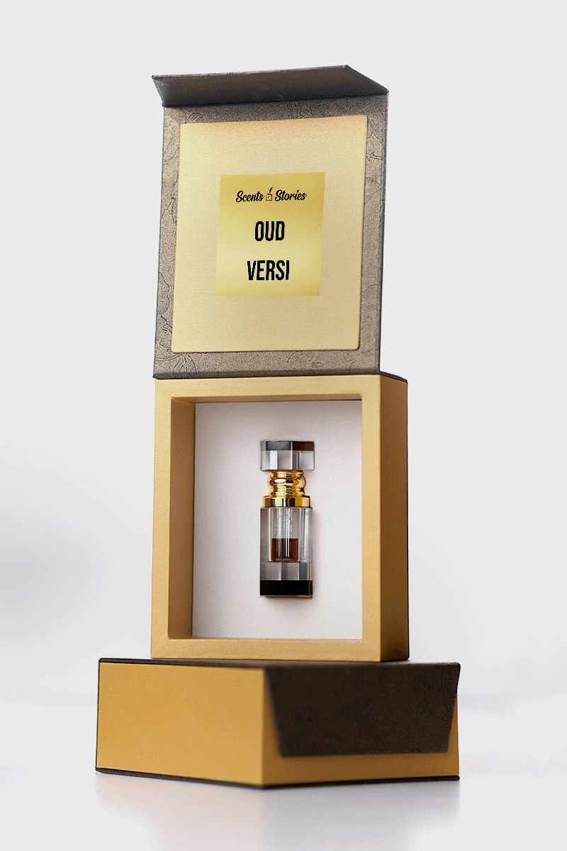 SNS Oud Versi